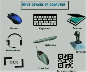 Input Devices