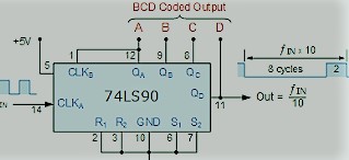 What is the Compactor of BCD and magnitude