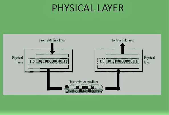 How is the basic Physical Layer Introduction and signals
